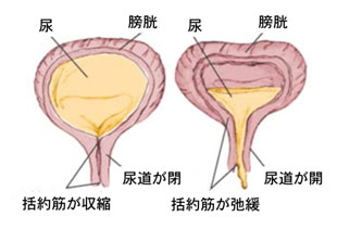 障害 発達 お 漏らし 発達障害の僕が「親にして欲しかったこと」「してほしくなかったこと」